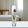 VFV0316 - Clear Bullet Urn Glass Vase - 3" x 16" VFV0316 - Clear Bullet Urn Glass Vase - 3" x 16"