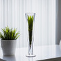 VTV0524 - Wide Pilsner Glass Trumpet Vase - 24"