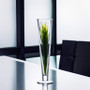 VTV0524 - Wide Pilsner Glass Trumpet Vase - 24"