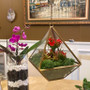 GET0308GD - Gold Raised Pyramid Geometric Glass Terrarium - 8"