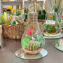 HCH0606 Bulb Terrarium 1.75"x6" (48pcs) HCH0606 Bulb Terrarium 1.75"x6" (48pcs)