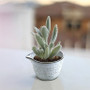 CSC2603FW - Small Ceramic Sake Cup Vase - 2" D x 1.75" H CSC2603FW - Small Ceramic Sake Cup Vase - 2" D x 1.75" H