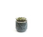 CYC3308BL - X-Large Azure Blue Washed Fern Bowl - 7.8" W x 6.5" H CYC3308BL - X-Large Azure Blue Washed Fern Bowl - 7.8" W x 6.5" H