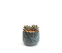 CYC3308BL - X-Large Azure Blue Washed Fern Bowl - 7.8" W x 6.5" H CYC3308BL - X-Large Azure Blue Washed Fern Bowl - 7.8" W x 6.5" H