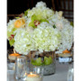 VCY0505 - Clear Cylinder Glass Vase - 5"x5" VCY0505 - Clear Cylinder Glass Vase - 5"x5"