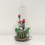 HCH0607 Bulb Terrarium 1.75"x7" (36pcs) HCH0607 Bulb Terrarium 1.75"x7" (36pcs)