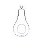 HCH0607 Bulb Terrarium 1.75"x7" (36pcs) HCH0607 Bulb Terrarium 1.75"x7" (36pcs)