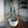 CSC2604FW - Medium Ceramic Sake Cup Vase - 4" D x 2.8" H CSC2604FW - Medium Ceramic Sake Cup Vase - 4" D x 2.8" H