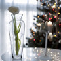 VUV0720 Large Ginger Vase (4pcs) VUV0720 Large Ginger Vase (4pcs)