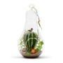 HCH0608 Bulb Terrarium 2.5"x8.25" (24pcs) HCH0608 Bulb Terrarium 2.5"x8.25" (24pcs)