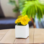 VCB0006WT - Handblown White Cube Glass Vase / Candle Holder - 6" VCB0006WT - Handblown White Cube Glass Vase / Candle Holder - 6"