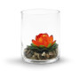 VCY0506 - Cylinder Glass Vase - 5"x6" (12 pcs/case) VCY0506 - Cylinder Glass Vase - 5"x6" (12 pcs/case)