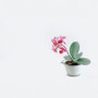 CSC2606FW - Large Ceramic Sake Cup Vase - 4.8" D x 3.6" H CSC2606FW - Large Ceramic Sake Cup Vase - 4.8" D x 3.6" H