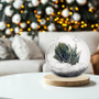 HCH0106NH - Globe Terrarium / No Hook - 6.5" HCH0106NH - Globe Terrarium / No Hook - 6.5"