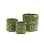 CYC2304GL - Small Green Fern Cylinder Vase - 4" D x 4.25" H (24 pcs/case) CYC2304GL - Small Green Fern Cylinder Vase - 4" D x 4.25" H (24 pcs/case)