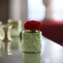 CYC2304GL - Small Green Fern Cylinder Vase - 4" D x 4.25" H (24 pcs/case) CYC2304GL - Small Green Fern Cylinder Vase - 4" D x 4.25" H (24 pcs/case)