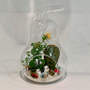 HCH0708 Pear Glass Terrarium - 8"H (12pcs) HCH0708 Pear Glass Terrarium - 8"H (12pcs)