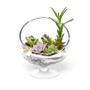 VHC0610 - Clear Slant Cut Unique Bowl Glass Vase on Stand - 8.6" VHC0610 - Clear Slant Cut Unique Bowl Glass Vase on Stand - 8.6"