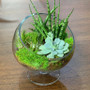 VHC0610 - Clear Slant Cut Unique Bowl Glass Vase on Stand - 8.6" VHC0610 - Clear Slant Cut Unique Bowl Glass Vase on Stand - 8.6"