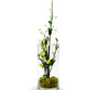 VCY0510 - Cylinder Glass Vase - 5"x10" (12 pcs/case) VCY0510 - Cylinder Glass Vase - 5"x10" (12 pcs/case)
