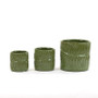 CYC2305GL - Medium Green Fern Cylinder Vase - 4.5" D x 4.7" H (16 pcs/case) CYC2305GL - Medium Green Fern Cylinder Vase - 4.5" D x 4.7" H (16 pcs/case)