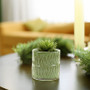 CYC2305GL - Medium Green Fern Cylinder Vase - 4.5" D x 4.7" H (16 pcs/case) CYC2305GL - Medium Green Fern Cylinder Vase - 4.5" D x 4.7" H (16 pcs/case)