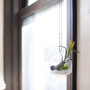 GET8007 - "D20" Frameless Geometric Terrarium - 4" H (6 pcs/case) GET8007 - "D20" Frameless Geometric Terrarium - 4" H (6 pcs/case)