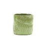 CYC2307GL - Large Green Fern Cylinder Vase - 6.4" D x 6.5" H