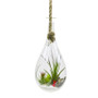 HCH0913 - Medium Rope Hanging Clear Glass Terrarium - 6" x 11"H HCH0913 - Medium Rope Hanging Clear Glass Terrarium - 6" x 11"H