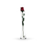VUS0316 - Large Clear Concaved Bud Vase With Slant Cut Top - 16" VUS0316 - Large Clear Concaved Bud Vase With Slant Cut Top - 16"