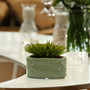 CYC2406GL - Small Green Fern Ceramic Oval Vase - 5.5" W x 2.7" L x 2.8" H (36 pcs/case) CYC2406GL - Small Green Fern Ceramic Oval Vase - 5.5" W x 2.7" L x 2.8" H (36 pcs/case)