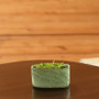 CYC2406GL - Small Green Fern Ceramic Oval Vase - 5.5" W x 2.7" L x 2.8" H (36 pcs/case) CYC2406GL - Small Green Fern Ceramic Oval Vase - 5.5" W x 2.7" L x 2.8" H (36 pcs/case)