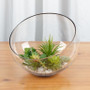 VHC0710 - Clear Slant Cut Unique Bowl Glass Vase - 11" x 10" VHC0710 - Clear Slant Cut Unique Bowl Glass Vase - 11" x 10"