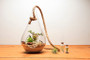 HCH0916 - Clear Rope Glass Terrarium - 7.5" x 15"H (6 pcs/case) HCH0916 - Clear Rope Glass Terrarium - 7.5" x 15"H (6 pcs/case)