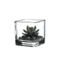 VMC0020 - Small Cube Glass Votive Candle Holder [Machined] - 2"