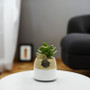 CUB1803GW - White Ceramic Pot with Gold Rim - 3.5" W x 3" H CUB1803GW - White Ceramic Pot with Gold Rim - 3.5" W x 3" H