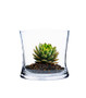 VHV0505 - Small Hurricane Concaved Gathering Vase - 5" VHV0505 - Small Hurricane Concaved Gathering Vase - 5"