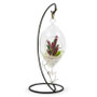 HCH1007 - Oblong Hanging Glass Terrarium / Candle Holder (Double Hook) - 7" HCH1007 - Oblong Hanging Glass Terrarium / Candle Holder (Double Hook) - 7"