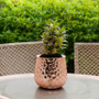 CUB5307RG Unique Textured Rose Gold Pot - 7.5" W x 6.5" H (6 pcs) CUB5307RG Unique Textured Rose Gold Pot - 7.5" W x 6.5" H (6 pcs)