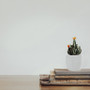 CGB1006WT Large Geometric Pot - Matte White - 6.3" W x 6" H (8 pcs) CGB1006WT Large Geometric Pot - Matte White - 6.3" W x 6" H (8 pcs)
