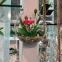 HCH1105 - Half Round Wall Hanging Terrarium - 5" HCH1105 - Half Round Wall Hanging Terrarium - 5"