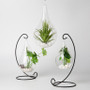 HCH0210 - Hanging Candle Holder - 9.4" HCH0210 - Hanging Candle Holder - 9.4"