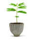 CUB8506WT - Large Fancy White Acorn Ceramic Vase - 6.5" H CUB8506WT - Large Fancy White Acorn Ceramic Vase - 6.5" H