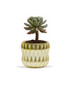 CUD8904GD - Small Unique Gold Ceramic Pot - 4.5" W x 4" H CUD8904GD - Small Unique Gold Ceramic Pot - 4.5" W x 4" H