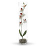 VCY0524 - Cylinder Glass Vase - 5"x24" (6 pcs/case)
