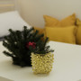 CUB6105GD Medium Gold Spike Pot - 5.1" H (16 pcs) CUB6105GD Medium Gold Spike Pot - 5.1" H (16 pcs)