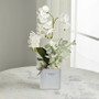 CRV3610WT - Medium White Tall Flat Portfolio Vase - 5" W x 2.8" L  x 9.4" H CRV3610WT - Medium White Tall Flat Portfolio Vase - 5" W x 2.8" L  x 9.4" H
