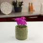 CYC3905GN - Medium Olive Green Leaf Cylinder Vase - 4.7" D x 4.7" H CYC3905GN - Medium Olive Green Leaf Cylinder Vase - 4.7" D x 4.7" H