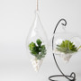 HCH0408 - Hanging Glass Terrarium - 2"x9" HCH0408 - Hanging Glass Terrarium - 2"x9"