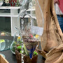 HCH0408 - Hanging Glass Terrarium - 2"x9" HCH0408 - Hanging Glass Terrarium - 2"x9"